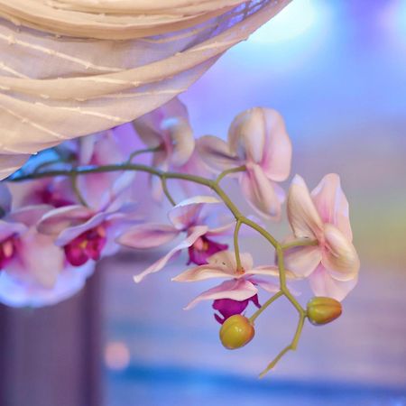 Dream & Relax Villa Fiore Bari Ngoại thất bức ảnh