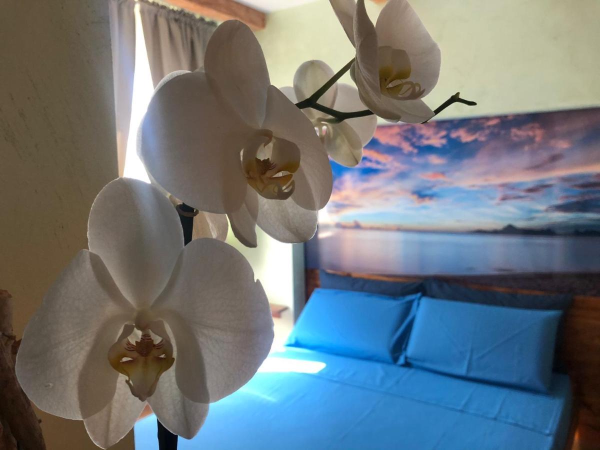 Dream & Relax Villa Fiore Bari Ngoại thất bức ảnh