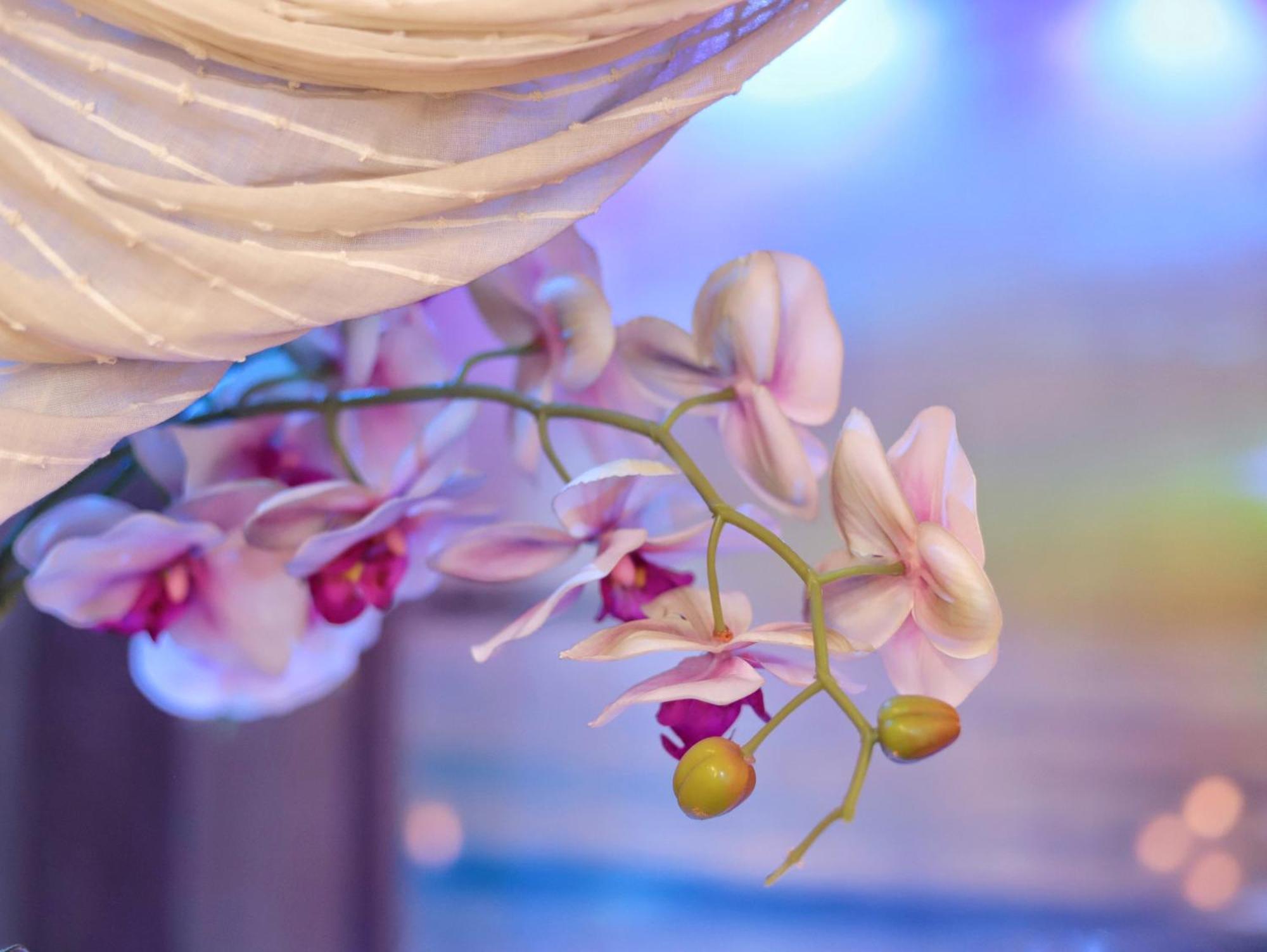 Dream & Relax Villa Fiore Bari Ngoại thất bức ảnh